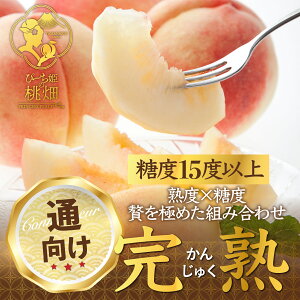 �y�ӂ邳�Ɣ[�Łz �� ���� 5�`8�� ��2kg �ʕ� ���� �t���[�c �u�����h ���n �R�� �b�B�s�Y �f�U�[�g �W���[�V�[ �① �H�ׂ��� �����x �l�C ���I �������� �Â� �R�N �t���[�c���� ���Ԍ��� ��