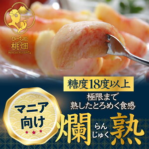 �y�ӂ邳�Ɣ[�Łz �� 3�`5�� ��1.5kg �ʕ� �t���[�c ���� �ʎ� �������� ���� ࣏n �u�����h �b�B�s�Y �ґ� �① �H�ׂ��� �����x �W���[�V�[ �R�N �l�C ���I �Â� �f�U�[�g ���Ԍ��� 2026�N���� 6