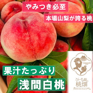 �y�ӂ邳�Ɣ[�Łz �� 3�`4�� ��1kg �ʕ� ���� �t���[�c ��Ԕ��� �u�����h ���� �l�C�i��w�� �b�B�s�Y �ʎ� �ґ� �① ���I �Â� �f�U�[�g ���Ԍ��� ���ʌ��� 2026�N���� 7�� ���� ���蕨 �M�t�g