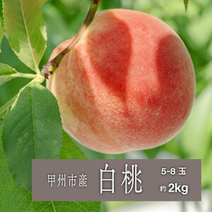 yӂ邳Ɣ[Łz  n 2026N s\ 2kg 5`8 7 8   Y n t[c ʕ ʌ Ԍ  Mtg ƒp R bBs iSHPj yB15-458z