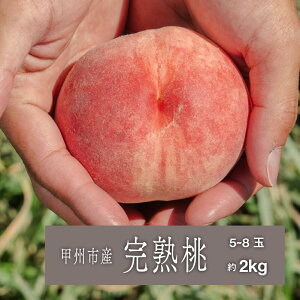 yӂ邳Ɣ[Łz  Pn 2026N s\ 2kg 5`8 6 7   Y n t[c ʕ ʌ Ԍ  Mtg ƒp R bBs iSHPj yB15-454z