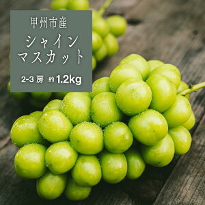 yӂ邳Ɣ[Łz VC}XJbg 2026N s\ 1.2kg 2`3[ 8 9 10  ʕ t[c Ԃǂ  ʎ Yn Ԍ ʌ  Mtg ƒp R bBs Ј}