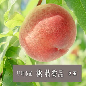 yӂ邳Ɣ[Łz  Gi 2026N s\ 2 6 7 8  I t[c ʕ  ʎ Yn Ԍ ʌ Mtg  ƒp R bBs iSHPj yB-456z