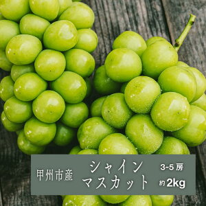 yӂ邳Ɣ[Łz VC}XJbg 2026N s\ 2kg 3`5[ 8 9 10  ʕ t[c Ԃǂ  ʎ Yn Ԍ ʌ  Mtg ƒp R bBs Ј}X