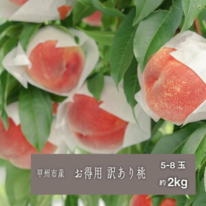 yӂ邳Ɣ[Łz 󂠂  2026N s\ 2kg 5`8 6 7 8   Y t[c ʕ  ʌ Ԍ ƒp p 荇킹 킯 R bBs iSHPj yB-4