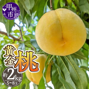 【ふるさと納税】 桃 黄金桃 2026年 先行予約 8月 9月 発送 約2kg 5〜8玉 果物 甲州市産 厳選 もも 産地直送 フルーツ 山梨 甲州市 数量限定 期間限定 冷蔵 クール ギフト 贈答 家庭用 (THR) 【B-8