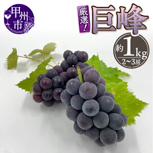 yӂ邳Ɣ[Łz  1kg 2`3[ ʕ Ԃǂ Ȃ bBsY 2025N R I Yn t[c ʎ ʌ Ԍ  Mtg ƒp 8 9  iTHRj yB-804z