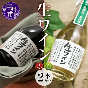 yӂ邳Ɣ[Łz C Ԕ C e500ml RR[h bB Iׂe l ԃC C R bBs (MTS)