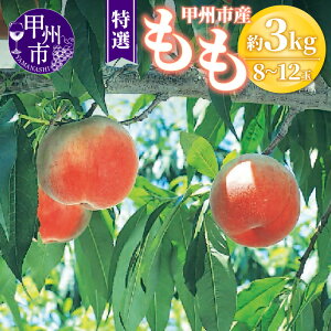 �y�ӂ邳�Ɣ[�Łz �� ���I 2026�N ��s�\�� �I�ׂ���e�� ��2kg ��3kg 6�ʁ`12�� �ʕ� ���� �① 7�� 8�� ���� ���P�n �����n �������� �t���[�c �Y�n���� ���Ԍ��� ���ʌ��� �M�t�g ���� �ƒ�p �N