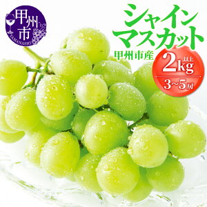 yӂ邳Ɣ[Łz VC}XJbg 2026N s\ Iׂe 600gȏ 1kgȏ 2kgȏ 1`5[ ʕ ① 8 9 10  ʌ Ԍ t[c  Ԃǂ Â ʎ  }