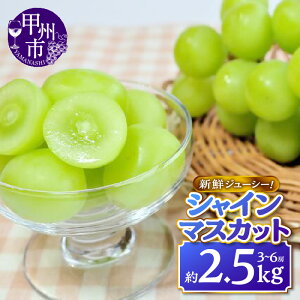 yӂ邳Ɣ[Łz VC}XJbg 1.2kg 2.5kg 2`3[ 3`6[ Iׂe ʕ t[c  Ԃǂ  Yn Â ʎ VN lC Ԍ ʌ 2025N 8 9 10 