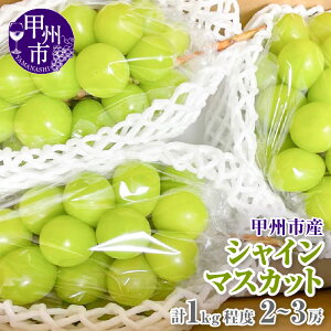 yӂ邳Ɣ[Łz VC}XJbg 1kg 2`3[ ① N[ Ԍ 9 10  Ԃǂ  uhE ʕ  t[c ʌ lC R 2025N { N[ ʎ  Mt
