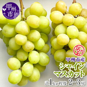 yӂ邳Ɣ[Łz 󂠂 VC}XJbg 1kg 2`3[ ① N[ Ԍ 9 10  ʕ Ԃǂ  uhE  t[c ʌ lC R 2025N { N[ ʎ 