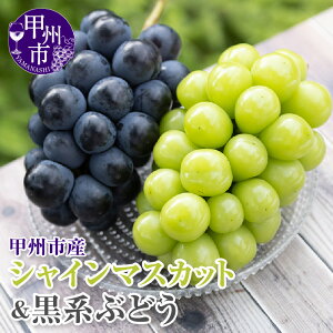 yӂ邳Ɣ[Łz VC}XJbg n Ԃǂ 1kg 2[ ʕ   sI[l ubNr[g ① Ԍ 9   uhE  t[c ʌ lC 2025N { N