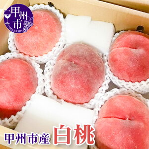 �y�ӂ邳�Ɣ[�Łz ���� 2026�N���� ��s�\�� ��2kg 5�`7�� �① 7�� 8�� ���� �� �ʕ� ���� �N�[���� ���Ԍ��� ���ʌ��� �������� �t���[�c ���� �R�� �{ �ʎ� ���� �M�t�g �R���� �b�B�s �iKFT�j 