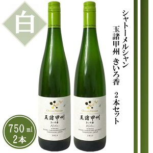 yӂ邳Ɣ[Łz C  750ml 2{ C h Vg[V ʏbB덁 2023 ̓ ̓ LO Mtg R bBs iTDCj yB18-740z