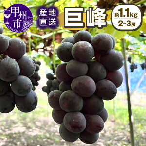 yӂ邳Ɣ[Łz  1.1kg 2`3[ ʕ lC VN Y 8 9 10  2025N  t[c  Ԃǂ Yn ① N[ Â 嗱 ʎ R bBs Ԍ iSSIj yB