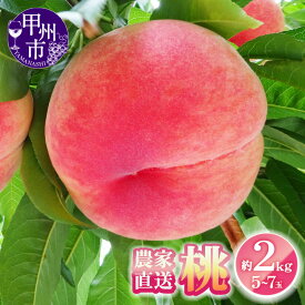 【ふるさと納税】 桃 もも フルーツ 選べる 内容量 約2kg 約3kg 約5kg 5～18玉 厳選 新鮮 農家直送 2025年 6月 7月 8月 9月 発送 果物 くだもの モモ 産地直送 白鳳系 白桃系 期間限定 数量限定 旬 名産地 ギフト 贈答 家庭用 山梨県 甲州市（YKI）