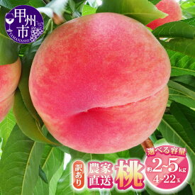 【ふるさと納税】 訳あり 桃 2026年 発送 選べる 内容量 約2kg 約3kg 約5kg 4〜22玉 厳選 新鮮 農家直送 6月 7月 8月 9月 発送 果物 くだもの モモ もも 白鳳系 白桃系 フルーツ 期間限定 数量限定 旬 名産地 傷 規格外 家庭用 冷蔵 クール便 山梨県 甲州市 （YKI）