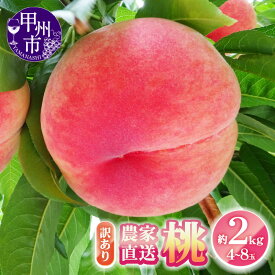 【ふるさと納税】 訳あり 桃 2026年 発送 選べる 内容量 約2kg 約3kg 約5kg 4〜22玉 厳選 新鮮 農家直送 6月 7月 8月 9月 発送 果物 くだもの モモ もも 白鳳系 白桃系 フルーツ 期間限定 数量限定 旬 名産地 傷 規格外 家庭用 冷蔵 クール便 山梨県 甲州市 （YKI）