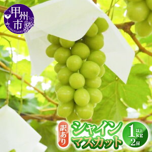 yӂ邳Ɣ[Łz 󂠂 VC}XJbg [ 1.0kgȏ 2[ ʕ Ԍ 8 9 10 11  2025N }XJbg Ԃǂ  uhE Â t[c ʎ  ʌ lC t[