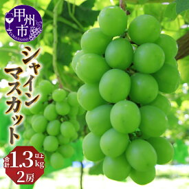 【ふるさと納税】 シャインマスカット 2026年 先行予約 1.3kg以上 2房 9月 10月 発送 大粒 完熟 フルーツ 果物 ぶどう 葡萄 期間限定 贈答 ギフト 家庭用 山梨県 甲州市 社員マスカット （NSF） 【B11-960】