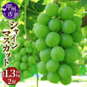 �y�ӂ邳�Ɣ[�Łz �V���C���}�X�J�b�g 2026�N ��s�\�� 1.3kg�ȏ� 2�[ 9�� 10�� ���� �嗱 ���n �t���[�c �ʕ� �Ԃǂ� ���� ���Ԍ��� ���� �M�t�g �ƒ�p �R���� �b�B�s �Ј��}�X�J�b�g �iNSF�j �yB