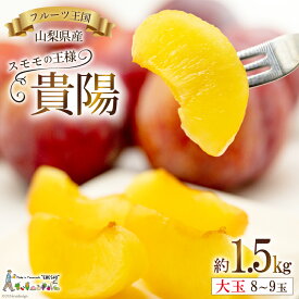 【ふるさと納税】貴陽 (大玉) [株式会社えべし 山梨県 中央市 21470728] 果物 くだもの スモモ すもも プラム 李 もも 山梨県産 期間限定 季節限定 冷蔵 【2026年7月上旬～8月上旬発送予定】