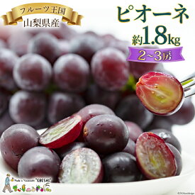 【ふるさと納税】山梨県産 ピオーネ 約1.8kg [株式会社えべし 山梨県 中央市 21470729] フルーツ 果物 くだもの 産地直送 期間限定 季節限定 冷蔵 【2026年8月下旬～10月上旬発送予定】