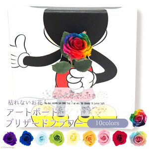 yӂ邳Ɣ[ŁzvU[uht[ fBYj[A[g{[h u~bL[v vU[uht[1֑} [vU[uht[ȂȂ R s 21470970]  ͂ Mtg 蕨 