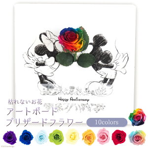 yӂ邳Ɣ[ŁzfBYj[A[g{[h u~bL[~j[KISSv vU[uht[1֑} [vU[uht[ȂȂ R s 21470971]  ͂ Mtg 蕨 t[ A