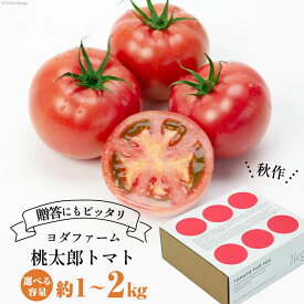 【ふるさと納税】【秋作】トマト 桃太郎 ＜選べる内容量＞ 約1kg ／ 約2kg とまと tomato 野菜 やさい 1キロ 2キロ 季節限定 期間限定 産地直送 山梨県産 【2026年10月下旬～12月下旬発送予定】