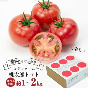 yӂ邳Ɣ[Łzy2026Nzt g}g Y 1kg 2kgyIׂeʁz Ƃ܂ tomato  ₳ 1L Gߌ Ԍ Yn RY _t@[ R s y