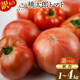 【ふるさと納税】【2025年発送】 訳あり 桃太郎トマト 選べる内容量 秋作 1kg 2kg 4kg [ヨダファーム 山梨県 中央市 21471020] 規格外 家庭用 不揃い わけあり 訳アリ とまと tomato 野菜 やさい 2kg 1キロ 2キロ 4キロ