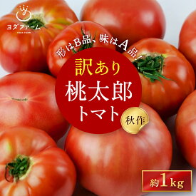 【ふるさと納税】【ZIP!で紹介】【秋作】訳あり 桃太郎トマト ＜選べる内容量＞ 約1kg ／ 約2kg ／ 約4kg 訳アリ わけあり とまと トマト tomato 野菜 やさい 1キロ 2キロ 4キロ 規格外 家庭用 不揃い 山梨県産 【2026年10月下旬～12月下旬発送予定】