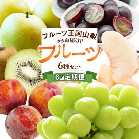 【ふるさと納税】【先行受付】【6回 定期便】 フルーツ王国 山梨県産 6種セット 100000円 10万円 [えべし 山梨県 中央市 21470866] フルーツ 果物 くだもの すもも もも 桃 梨 なし ぶどう シャインマスカット キウイ 【2026年6月中旬-2027年1月下旬発送予定】