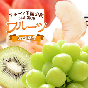 yӂ邳Ɣ[Łzystzy3  zRY t[c w  2kg & VC}XJbg 1.8kg & LECt[c 1.5kgx [ ׂ R s 21470867] ʕ   }XJbg 