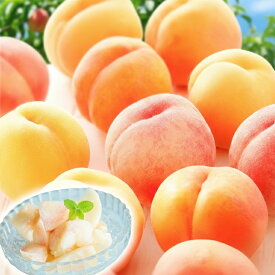 【ふるさと納税】桃 1～3kg【選べる容量】 もも モモ 果物 果実 くだもの フルーツ お取り寄せ 日川白鳳 夢みずき あかつき なつっこ 川中島白桃 冷蔵 山梨県 中央市 送料無料 【2027年6月上旬-8月上旬発送予定】