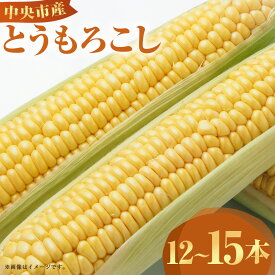 【ふるさと納税】中央市産 とうもろこし 12～15本 トウモロコシ コーン 野菜 やさい サラダ 冷蔵 山梨県産 国産 山梨県 中央市 送料無料 【2026年6月下旬発送予定】