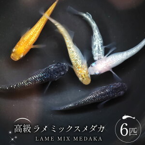 yӂ邳Ɣ[Łz_J ~bNX_J 6C [Ђ̂ŉ R s 21470968] _J ߂  medaka ANAE ̔ ~bNX_J Mы _J  yVX[p[SALE 9