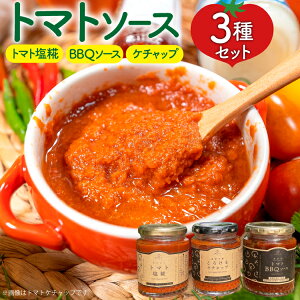 yӂ邳Ɣ[Łz3 lߍ킹 e1 [_t@[ R s] Zbg lߍ킹 \[X ^   P`bv Ƃ܂ tomato g}g g}g\[X yVX[p[SALE 9J