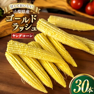 yӂ邳Ɣ[ŁzƂ낱 S[hbV OR[ 30{ [Ƃ_ R s 21471038] gERV XC[gR[ Â R[  y2026N6{`7{\