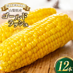 yӂ邳Ɣ[ŁzƂ낱S[hbV@12{ [Ƃ_ R s 21471039] gERV XC[gR[ Â R[  y2026N6{`7{\z