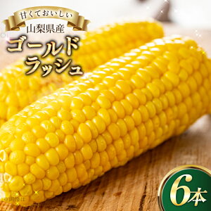 yӂ邳Ɣ[ŁzƂ낱 S[hbV 6{ [Ƃ_ R s 21471040] gERV XC[gR[ Â R[ ؁y2026N6{`7{\z