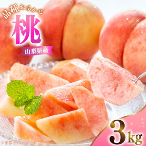 yӂ邳Ɣ[Łz RY  3kg i킨܂ [Ƃ_ R s 21471042]  P   t[c ʕ  y2026N7{`9{\z