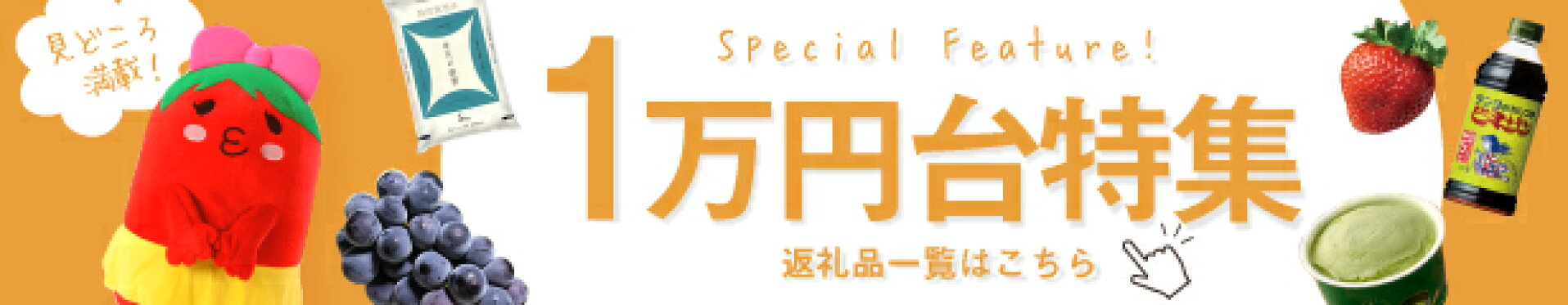 １万円台の返礼品特集