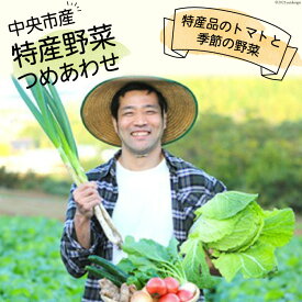 【ふるさと納税】中央市産 特産 野菜詰合せ トマトと季節の野菜詰め合わせ [た・から 山梨県 中央市] 野菜 やさい 詰合せ 詰め合わせ とまと トマト ミニトマト きゅうり 玉ねぎ たまねぎ 芋 いも 野菜セット 旬
