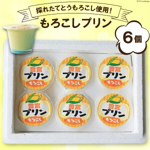 yӂ邳Ɣ[ŁzŷꂽĂƂ낱gpIz낱v 90ml×6 / ̉wƂƂ / R s Y Ƃ낱 v Ƃ낱v O fU[g XC[c