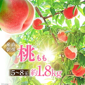 【ふるさと納税】山梨県中央市産 桃 約1.8kg ( 5～8玉 ) [ピーチファームなんば 山梨県 中央市 21470170] もも モモ フルーツ 果物 くだもの 1.8キロ 産地直送 期間限定 季節限定 【2026年6月下旬～8月上旬発送予定】