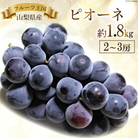 【ふるさと納税】【先行受付】ぶどう 山梨県産 ピオーネ 約1.8kg [えべし 山梨県 中央市 21470729] フルーツ 果物 くだもの ブドウ 葡萄 期間限定 季節限定